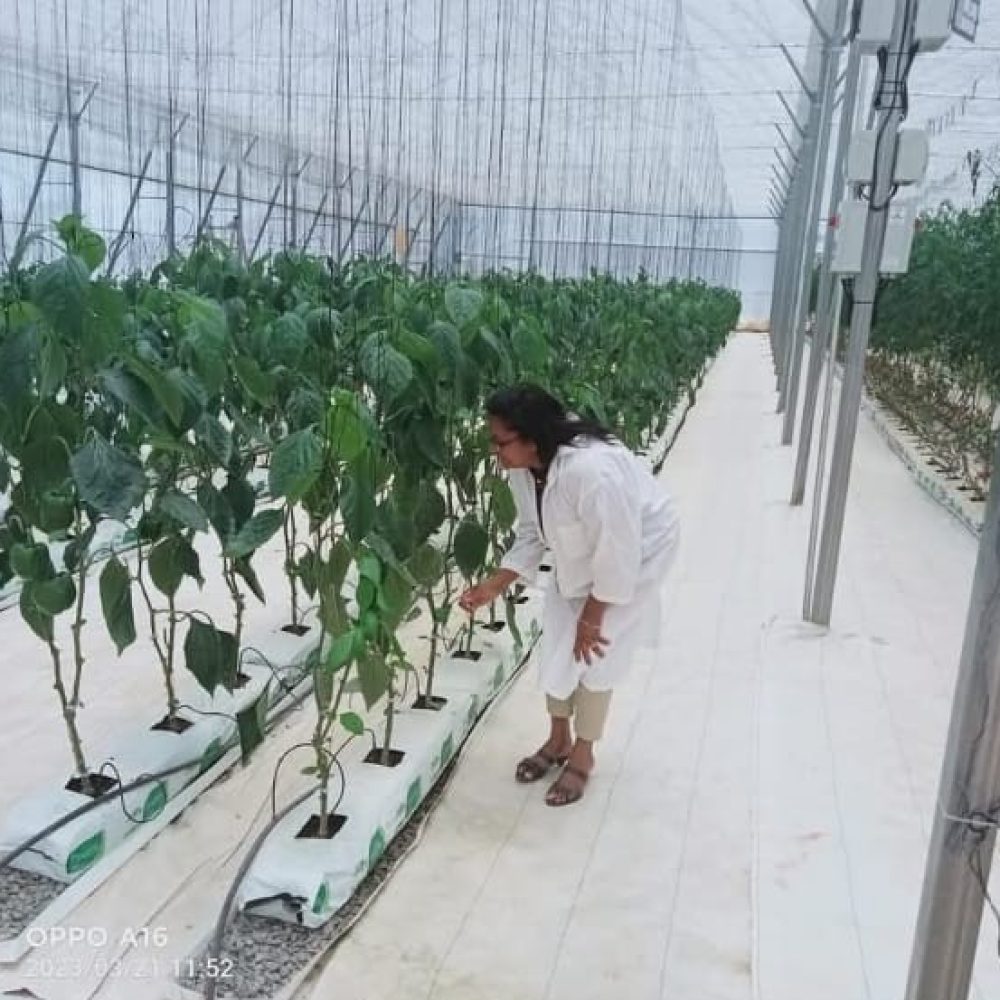 Site visits and field Inspections