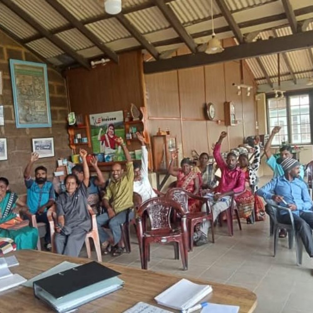 Assistence to premium Fairtrade committee elections