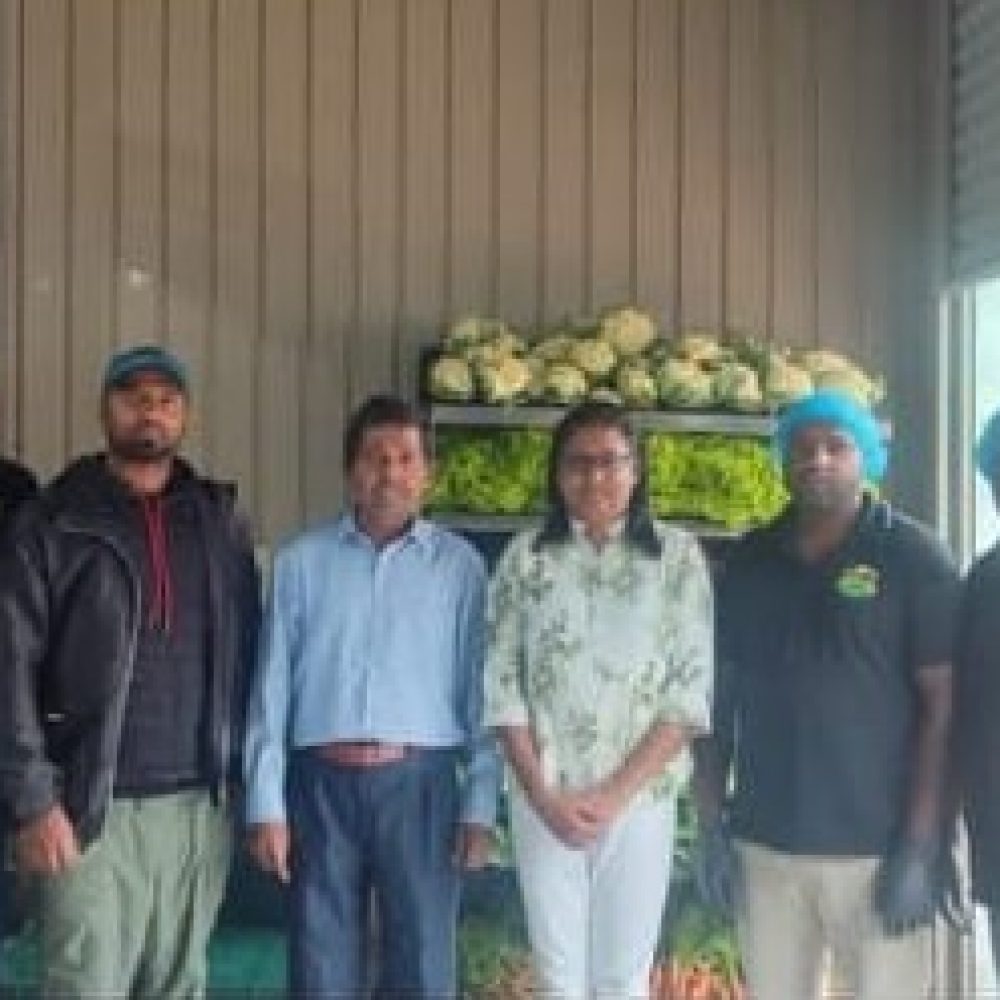 Sucessfull completion of ISO 22000 Audit in Vegetable distribution Company