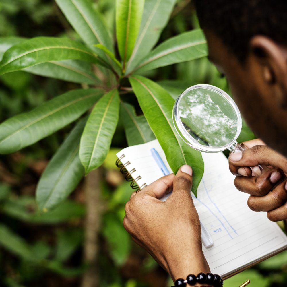 Environmental Management Environmental Management