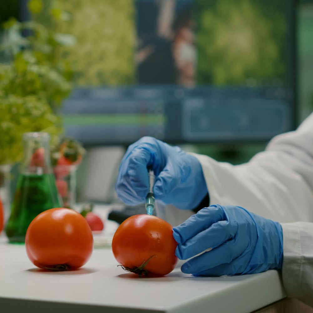 Food Safety Food Safety